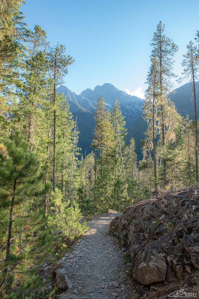 Thunder Knob trail in the North Cascades, looking towards some of the higher peaks south of Diablo Lake